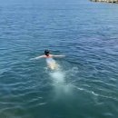 평리중학교 내 | 대구 서구 수영장,대구자유수영:평리동 산들수영장 수강후기