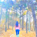 박동약수터 이미지