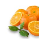 신진식품 이미지