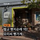 태백산맥길 | [벌교] 모리씨 빵가게 - 벌교 천연발효 로컬빵집 내돈내먹 솔직후기