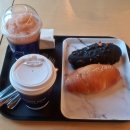 나무향기펜션&커피
