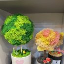 화순LPG충전소 이미지