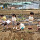 큰소망어린이집 이미지