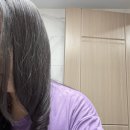 우선제 헤어루시 - 양천구 | 미용실 트리트먼트 극손상 헤어팩 후기, 15년차 미용사의 솔직한 변화 머리