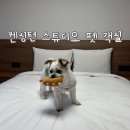 산전장수1길 | 충주 켄싱턴리조트 애견동반 스튜디오 펫 객실 1박 후기