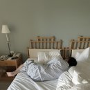샬루트 바(BAR) | 전복한우차돌짬뽕, 망고아이스크림 후기 / 제주신라호텔 카페 바당 & 올래바 & 더파크뷰 조식 후기 💭
