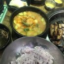 명량돼지 이미지