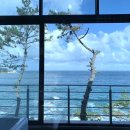 보드레펜션 이미지