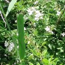 역전세탁소 이미지