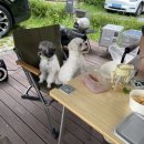 구리 토평 가족캠핑장 이미지