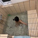 남조로수망교차로 4 | 제주사려니숲길붉은오름입구주차장에서 가까운 수망일기 (자쿠지욕조 아기와 함께 가족여행 2025여름...