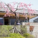 정금교 옆 이미지