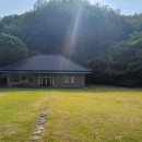 은행나무로(송현동) 이미지