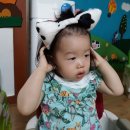 서은 Daum카페