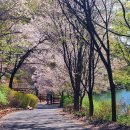 백야자연휴양림 이미지