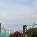 진양농장 | 충북 진천 혁신도시 해물칼국수 맛집 덕현 칼국수