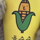 종로-종로-종로-종-274 | 1월에 올리려했는데 벌써 3월이햐아 ~