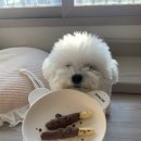 까까뭐멍냥 | 경기광주 애견수제간식 까까뭐멍냥, 강아지 수제간식 구매후기