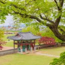 올여름 꼭 걸어볼 무료 역사 여행지 " 충남 서산 " 이미지