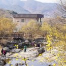 대음여성경로당 이미지