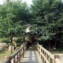 아이(233) 이미지