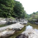 그린나래펜션 이미지