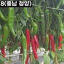 충남농약사 | 지니어스