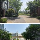 좋은집공인중개사사무소 | 가성비와 실속 모두 챙기는 배곧부동산 고르는 첫걸음, 배곧좋은집 공인중개사 이야기