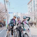 강동-천호-19 이미지