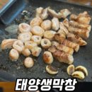 태양생막창 - 수원시 영통구 | 태양생막창