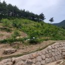 사재농장 네이버블로그