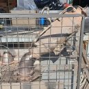 원경카서비스자동차 이미지