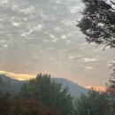 방목목장 이미지