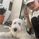 성산조쿠다