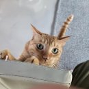 아이조아요양보호소 동탄점 이미지