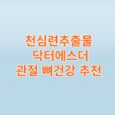 씨유첨단일등점 | 천심련 추출물 닥터에스더 관절 뼈건강 추천