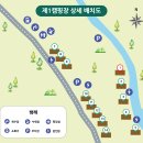 금산산림문화타운캠핑장 이미지