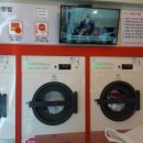 워시프렌드
