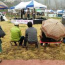 밀양 삼랑진 벚꽃 축제 - 광주 엔시난 요들 럽 이미지