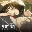 (주)승우 | 아이돌급 여주와 모범생 남주의 몰입감 넘치는 학원 로맨스 웹툰 <세림의 철칙> 리뷰