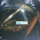 삼포선착장 이미지