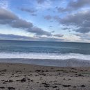 감포 더 고아라 비치 펜션 이미지