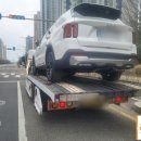 산정카타이어 이미지