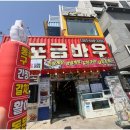 쫑포 금바우 이미지