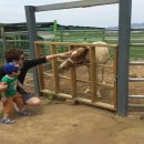 빗돌배기마을 이미지