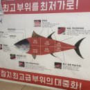 참다랑어막주는집제주삼화점