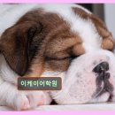 이케이어학원