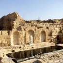 고대1101 이미지