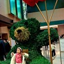 오로라공인중개사사무소 이미지