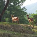 안흥농장 이미지